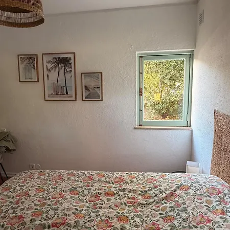 Casa Alegria * クアルテイラ